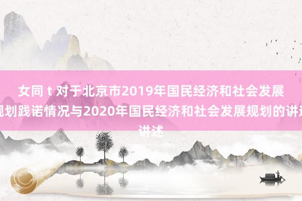 女同 t 对于北京市2019年国民经济和社会发展规划践诺情况与2020年国民经济和社会发展规划的讲述